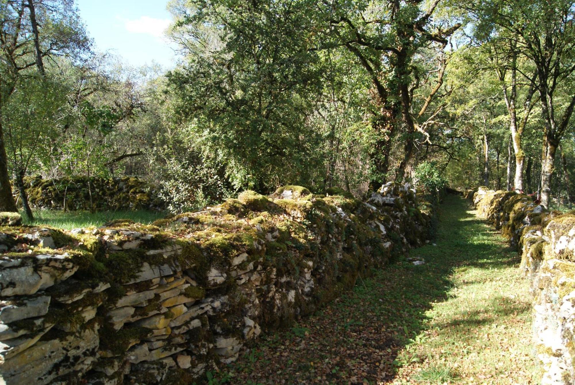 Le Domaine De La Claire Fontaine Gites -Chambres D'Hotes Montvalent Exteriör bild